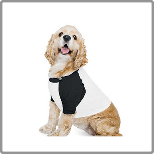 American-Apparel-Dog-Poly-Cotton-3-4-Sleeve-Raglan-T-Shirt