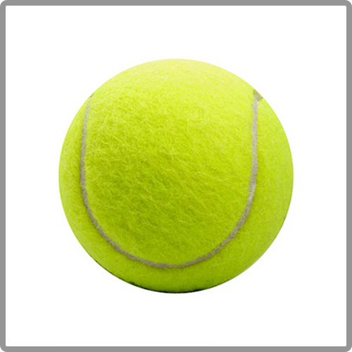 Dog-Tennis